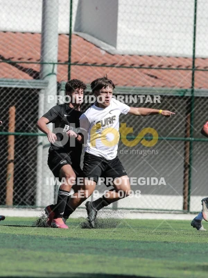 Detalhes da foto #2674608
