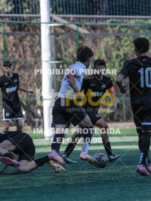 Detalhes da foto #6581493
