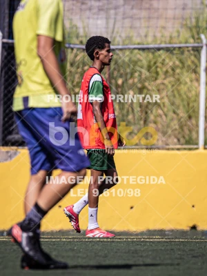 Detalhes da foto #3288434