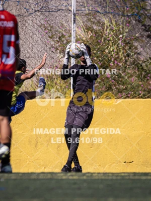 Detalhes da foto #1556550
