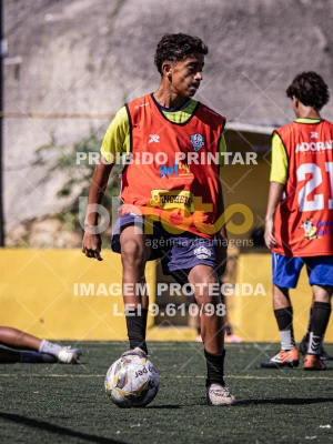 Detalhes da foto #8982215