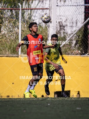 Detalhes da foto #5356625