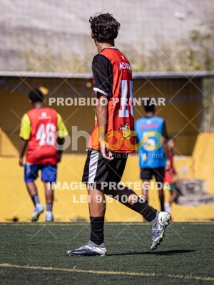 Detalhes da foto #8133909