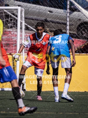 Detalhes da foto #1828688