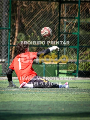 Detalhes da foto #4528579
