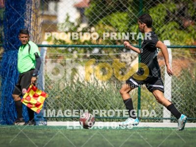 Detalhes da foto #4298958
