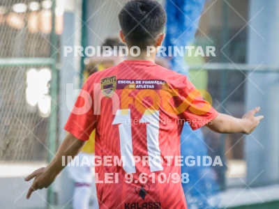 Detalhes da foto #24171