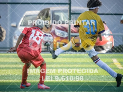 Detalhes da foto #42483
