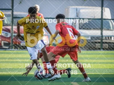 Detalhes da foto #62337