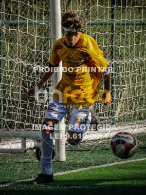 Detalhes da foto #63106