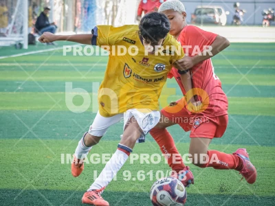 Detalhes da foto #41452
