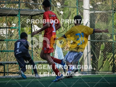 Detalhes da foto #76788