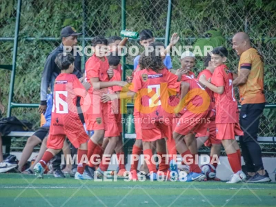 Detalhes da foto #62138