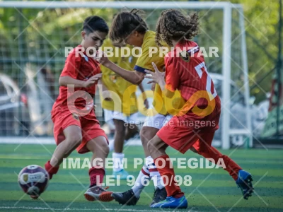 Detalhes da foto #29237