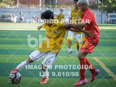Detalhes da foto #53333
