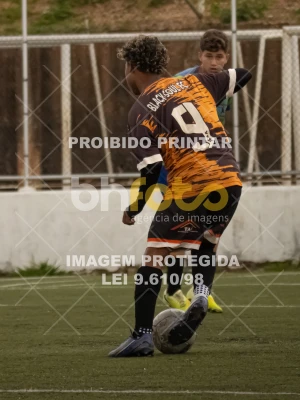 Detalhes da foto #4211045