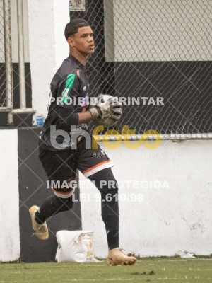 Detalhes da foto #2333896
