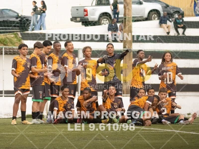 Detalhes da foto #8158017