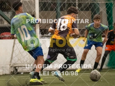 Detalhes da foto #2339261