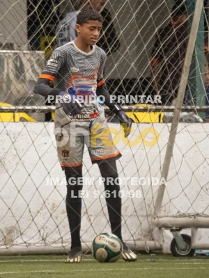 Detalhes da foto #8662270