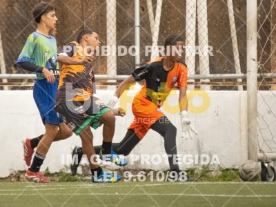 Detalhes da foto #5107948