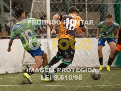 Detalhes da foto #2357352