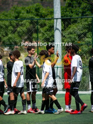 Detalhes da foto #3538246