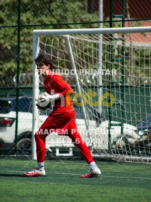 Detalhes da foto #2605857