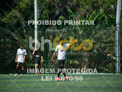 Detalhes da foto #2102615