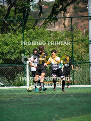 Detalhes da foto #2809777