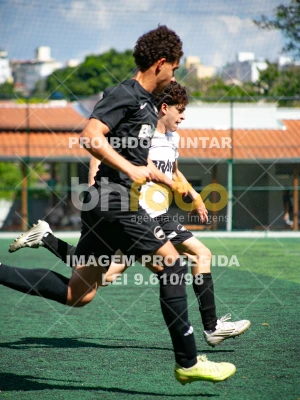 Detalhes da foto #2274181