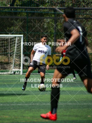 Detalhes da foto #4401104