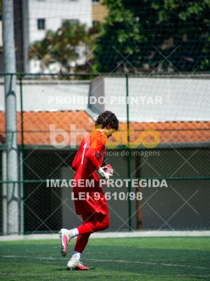Detalhes da foto #2523720