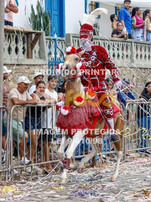 Detalhes da foto #99043