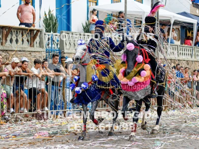 Detalhes da foto #44391