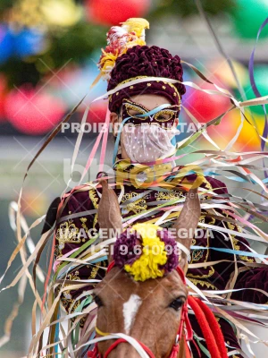 Detalhes da foto #74258