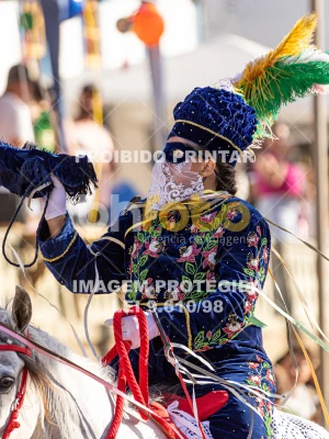 Detalhes da foto #71158