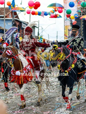 Detalhes da foto #83633