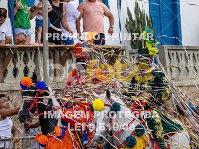 Detalhes da foto #66709