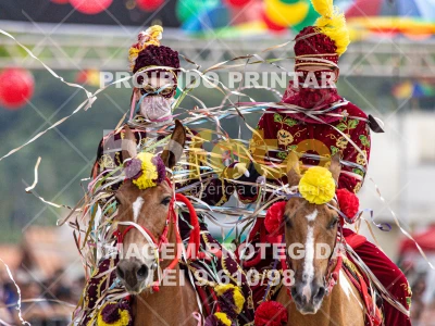 Detalhes da foto #40628