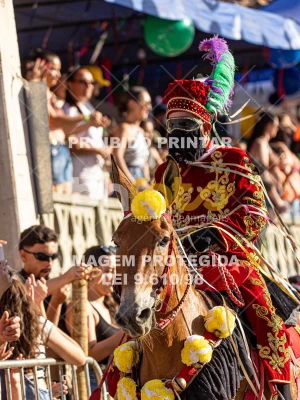 Detalhes da foto #13047