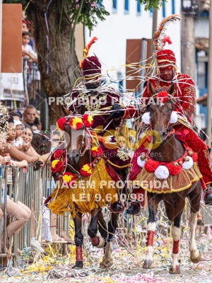 Detalhes da foto #16448