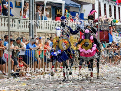 Detalhes da foto #75045