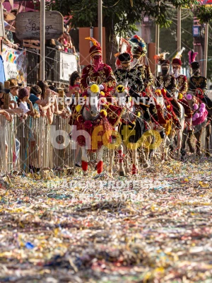 Detalhes da foto #51202