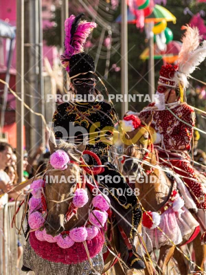 Detalhes da foto #87811