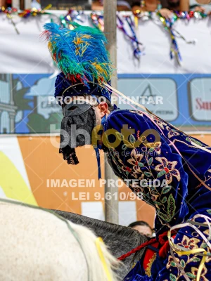 Detalhes da foto #93263