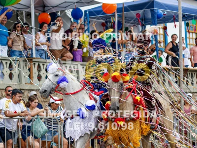 Detalhes da foto #17707