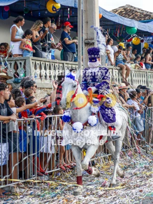 Detalhes da foto #30036