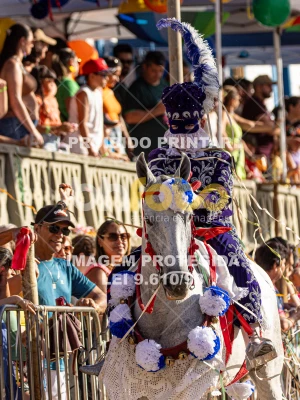 Detalhes da foto #74952