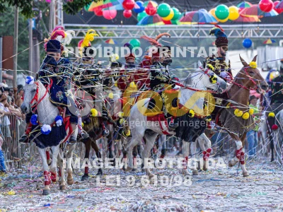 Detalhes da foto #74614